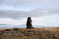 Окрестности горы Змеиной у посёлка Энбекши. Ноябрь 2012 года