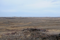 Окрестности горы Змеиной у посёлка Энбекши. Ноябрь 2012 года