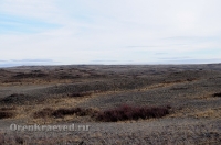 Окрестности горы Змеиной у посёлка Энбекши. Ноябрь 2012 года