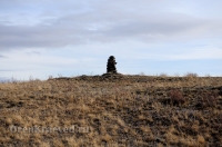 Окрестности горы Змеиной у посёлка Энбекши. Ноябрь 2012 года