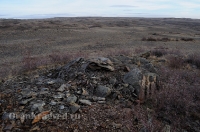 Окрестности горы Змеиной у посёлка Энбекши. Ноябрь 2012 года