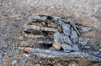 Окрестности горы Змеиной у посёлка Энбекши. Ноябрь 2012 года