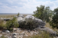 Большая Белая Шишка (Осетинская Шишка)