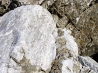 Большая Белая Шишка (Осетинская Шишка)