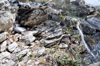 Большая Белая Шишка (Осетинская Шишка)