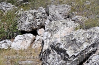 Адамовский район