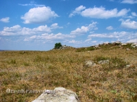 Большая Белая Шишка (Осетинская Шишка)