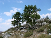 Большая Белая Шишка (Осетинская Шишка)