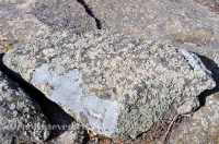 Карабутакский гранитный массив (скалы Шонкал). Июль 2012 года