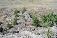 Карабутакский гранитный массив (скалы Шонкал). Июль 2012 года