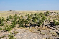 Карабутакский гранитный массив (скалы Шонкал). Июль 2012 года