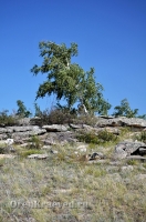 Карабутакский гранитный массив (скалы Шонкал). Июль 2012 года