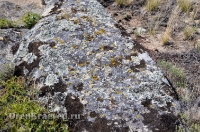 Карабутакский гранитный массив (скалы Шонкал). Июль 2012 года