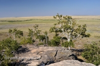 Карабутакский гранитный массив (скалы Шонкал). Июль 2012 года