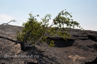 Карабутакский гранитный массив (скалы Шонкал). Июль 2012 года