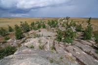 Карабутакский гранитный массив (скалы Шонкал). Июль 2015 года