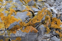 Карстовое поле и мраморный лог у Юбилейного. Июль 2012 года