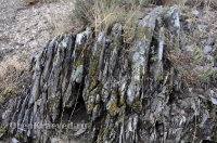 Карстовое поле и мраморный лог у Юбилейного. Июль 2012 года