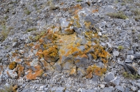 Карстовое поле и мраморный лог у Юбилейного. Июль 2012 года