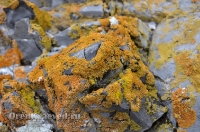 Карстовое поле и мраморный лог у Юбилейного. Июль 2012 года