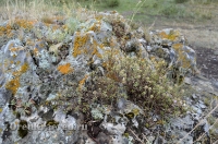 Карстовое поле и мраморный лог у Юбилейного. Июль 2012 года