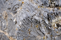 Карстовое поле и мраморный лог у Юбилейного. Июль 2012 года