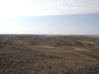 Горюнский габбро-норит