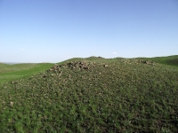 Горюнский габбро-норит