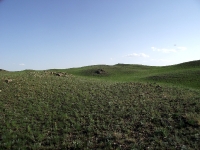 Горюнский габбро-норит. Май 2019 года