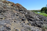 Горюнский габбро-норит