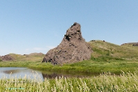 Подстепинская скала. Июнь 2015 года