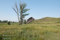 Подстепинская скала. Июнь 2015 года