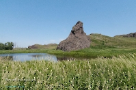 Подстепинская скала. Июнь 2015 года