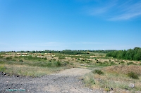 Белоглинские колки