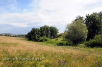 Балка Цветковая