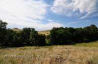 Балка Цветковая