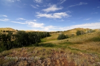 Балка Цветковая