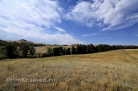 Балка Цветковая