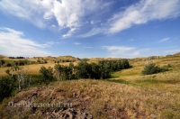 Балка Цветковая