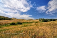 Балка Цветковая