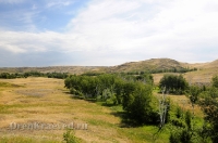 Балка Цветковая