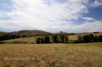 Балка Цветковая