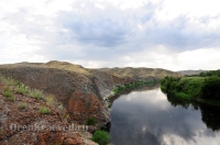 Урочище Медянка. Июнь 2014 года