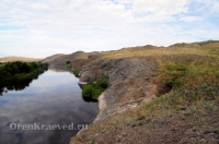 Урочище Медянка. Июнь 2014 года