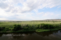 Урочище Медянка. Июнь 2014 года