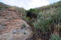 Урочище Медянка. Июнь 2014 года