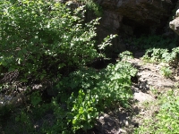 Каялинская свита