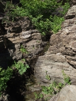 Каялинская свита. 2018 год