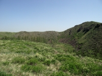 Урочище Банка. Май 2019 года