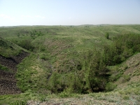 Урочище Банка. Май 2019 года